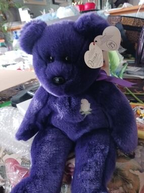 1997 TY Princess Beannie Buddy. Like Brand New, Never Played With.